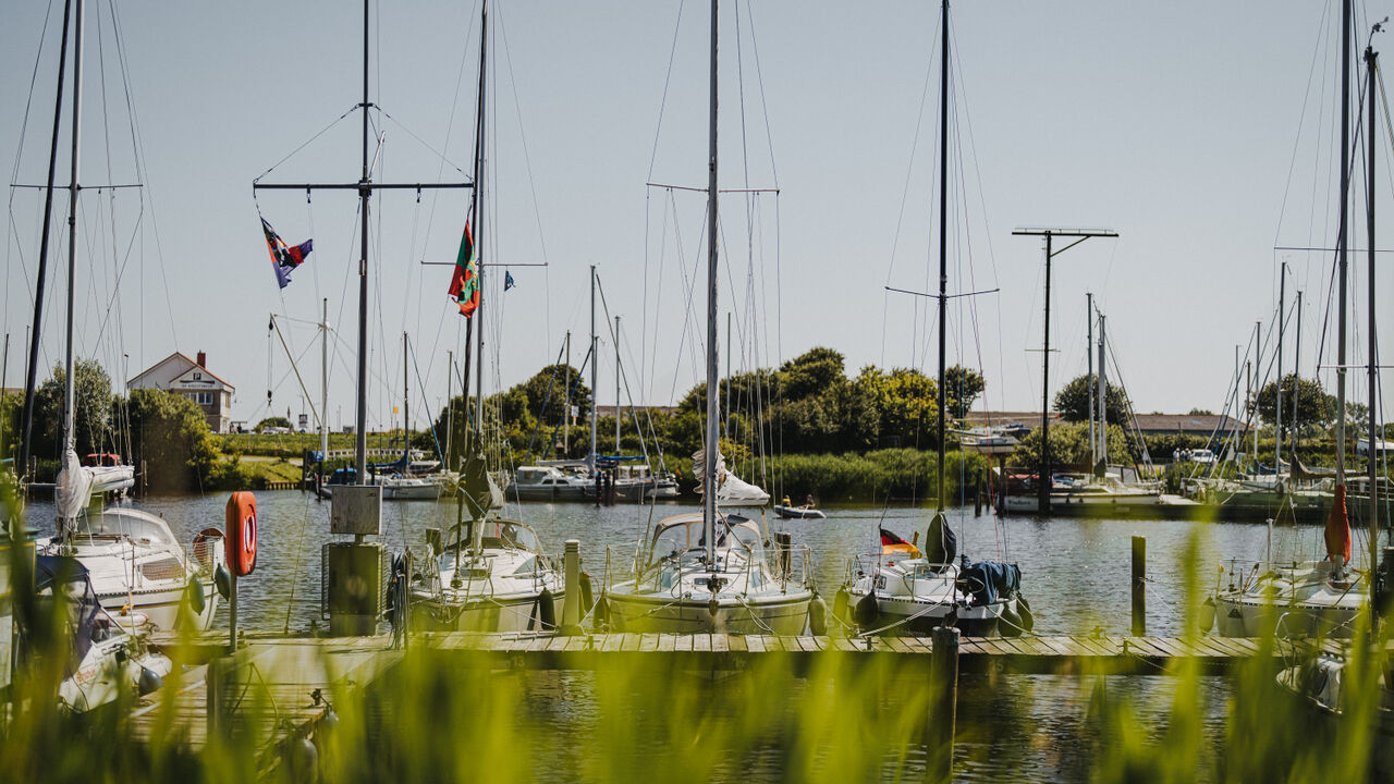 50+ mit Power und voller Erfahrungen