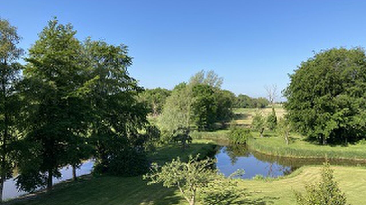 Resilienz im Beruf stärken - Resilienzkompetenz mit dem persolog®-Profil und Yoga Flows