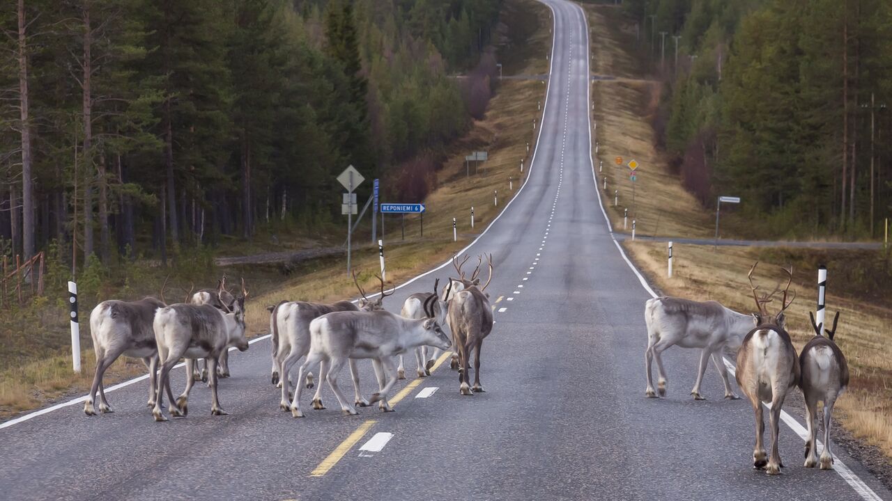 Naturparadies und Ölnation – Nordnorwegen im Spannungsfeld zwischen indigener Lebensweise und Wirtschaftswachstum