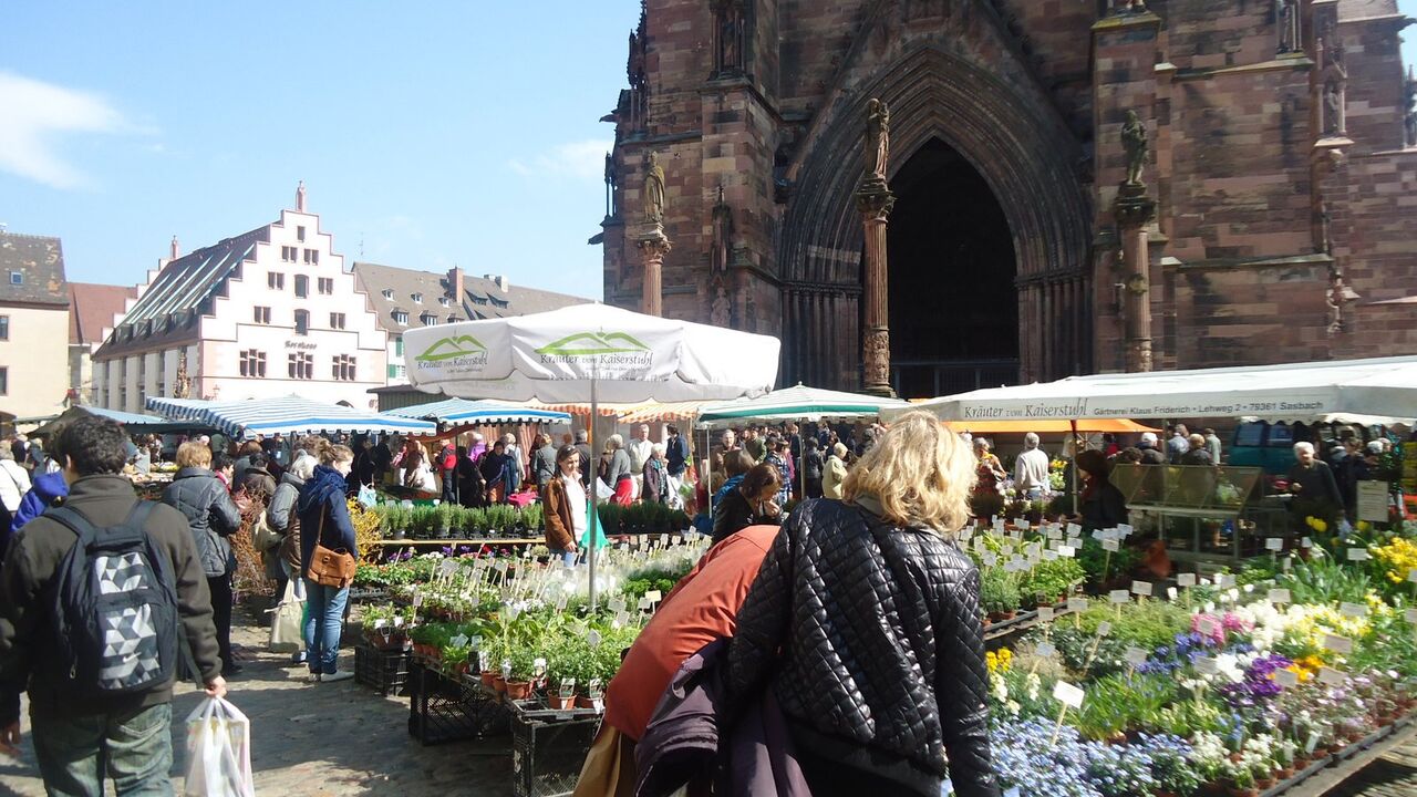 Freiburg - Deutschlands grüner Süden