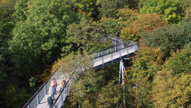 Nationalpark Hainich - Schutz für den „Urwald mitten in Deutschland“
