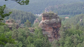 Pfälzerwald und Nordvogesen – ein grenzüberschreitendes Biosphärenreservat