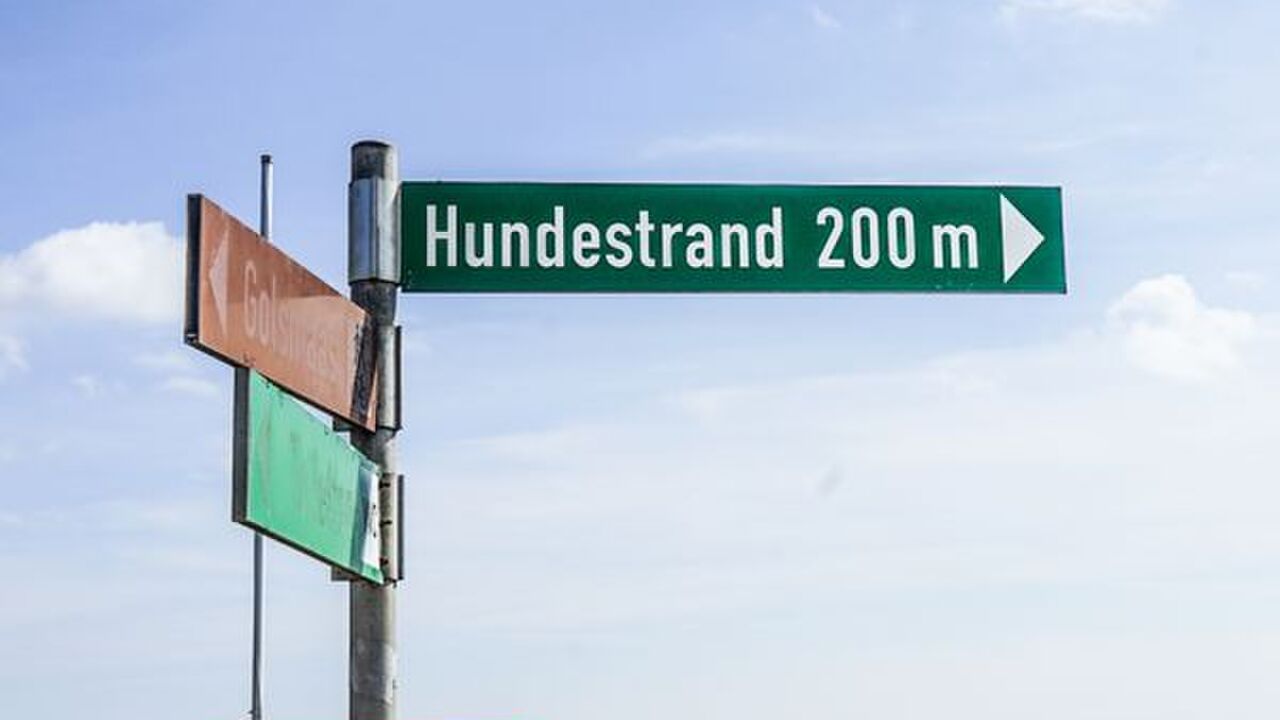 Work-Life-Balance durch Yoga, Pilates und Entspannungstechniken, Bildungsurlaub mit Hund