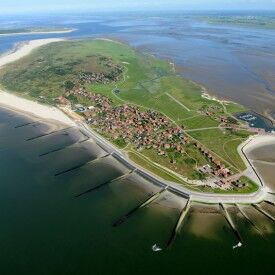 Dein Weg zu dir und anderen – das Enneagramm für Fortgeschrittene