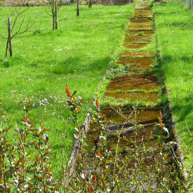 Kraftvolles und flexibles Handeln im Berufsalltag