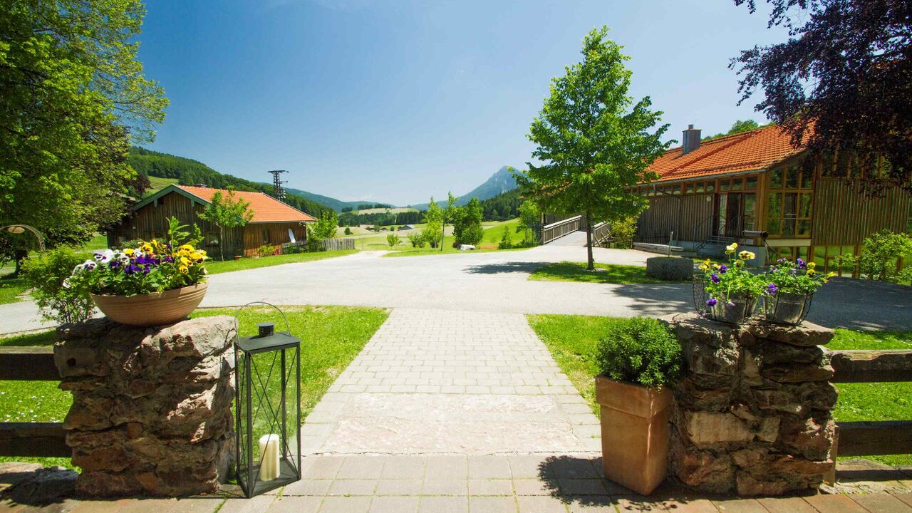 Resilienz im Beruf stärken - Resilienzkompetenz mit dem persolog®-Profil und Yoga Flows