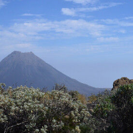 Die Kapverden: afrikanische Inseln im atlantischen Spannungsdreieck Afrika – Europa – Amerika