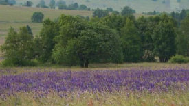 Biosphärenreservat Rhön - Modellprojekt für nachhaltige Regionalentwicklung