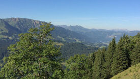 Klimaanpassungsregion Bregenzerwald – enkeltaugliche Strategien in den Alpen