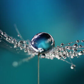 Stressbalance durch Achtsamkeit im Berufsleben