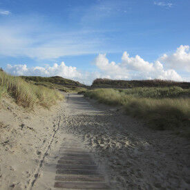 Erkennen Sie Stärken und Potenziale bei sich und anderen