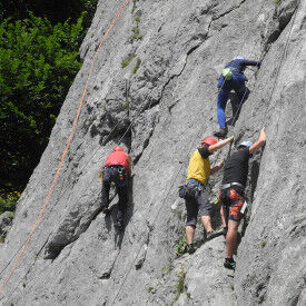 Teamerleben in beruflichen Prozessen - Vertrauensvoll mit sich und anderen umgehen – auch in schwierigen Situationen