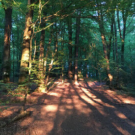 Handlungskompetenz stärken – nachhaltig Ziele erreichen – in Beruf und Alltag