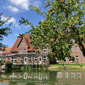 Stressbewältigung nach Jon Kabat-Zinn