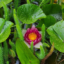 Burnout-Prävention im beruflichen Alltag durch erfolgreiches Selbstmanagement