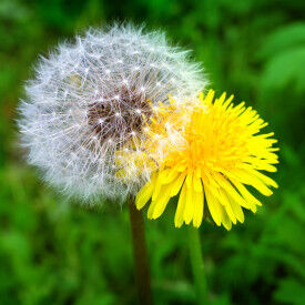 Wertschätzender und achtsamer Umgang mit sich selbst