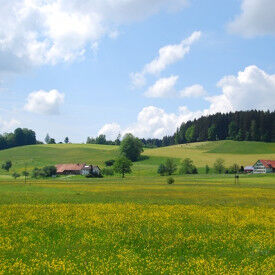 Das Oberschwäbische Allgäu – Entwicklung und Erhalt einer Kulturlandschaft zwischen Tradition und Zukunft