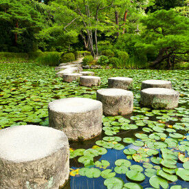 Selbst-Empowerment im Beruf