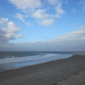 Wirksam visualisieren mit Freude & System