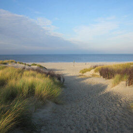 Burnout-Prävention im beruflichen Alltag durch erfolgreiches Selbstmanagement