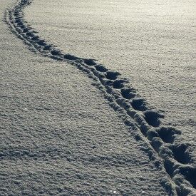 Achtsam und gelassen ins Neue Jahr - Stressreduktion und Resilienz im Berufsalltag