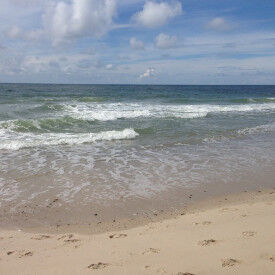 Souveränität im Beruf stärken - Stresskompetenz mit dem persolog®-Profil und Yoga Flows