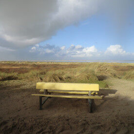 Konflikte als Chance nutzen – konstruktiv und nachhaltig –