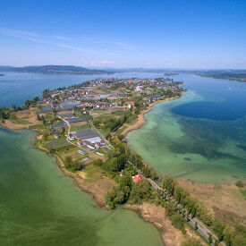 Hör auf dein Herz: Resilient im Beruf mit Herzintelligenz