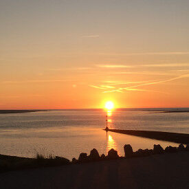 Gesund und resilient durch erfolgreiches Selbstmanagement im Berufsalltag