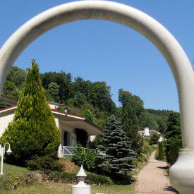 Resilienz und Stimme