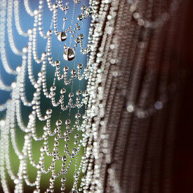 Stressbewältigung nach Jon Kabat-Zinn