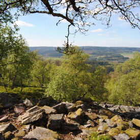 Nationalpark Hunsrück-Hochwald - ein länderübergreifendes Großschutzgebiet