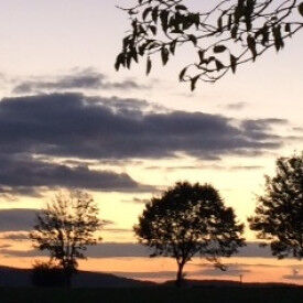 Die Kraft der Mitte stärken mit Hatha Yoga und Qi Gong für mehr Ausgeglichenheit von Körper und Geist im Berufsalltag