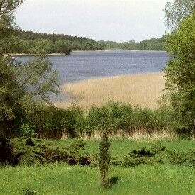 Müritz Nationalpark - Chance für eine wertvolle Naturlandschaft?