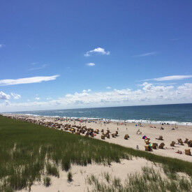 „Speed“-Focusing – stimmig handeln + entscheiden im Berufsalltag