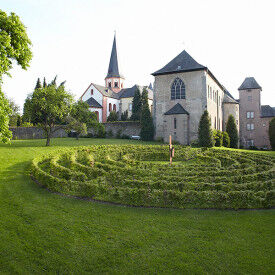 Vital und Dynamisch mit Qi-Fa-Yo und visueller Fitness in Beruf und Alltag