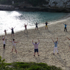 Tai Chi und Qi Gong für Beruf und Alltag