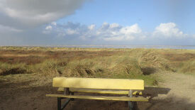 Konflikte als Chance nutzen – konstruktiv und nachhaltig –