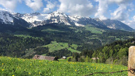 Modellregion Bregenzerwald – zukunftsfähiger Klima- und Naturschutz in Vorarlberg