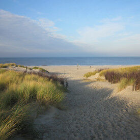 Erkennen Sie Stärken und Potenziale bei sich und anderen