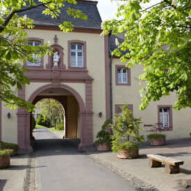 Gewaltfreie Kommunikation - Achtsamkeit und Selbstmanagement