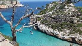 Innere Stärke entfalten und Verbindung leben