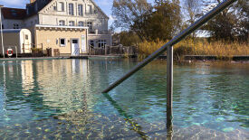 Innere Kraft entfalten mit Qigong