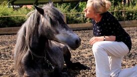 Entscheidungen treffen