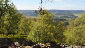 Nationalpark Hunsrück-Hochwald - ein länderübergreifendes Großschutzgebiet