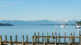 Stimmig sein - verkörperte Stimme und gestimmter Körper im Alltag und Beruf
