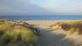 Kreativ zur Lösung am Arbeitsplatz – Mach mal Pause vom Problem