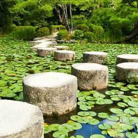 Perspektive 60 - die Herausforderungen im Herbst des beruflichen Lebens kraftvoll und achtsam annehmen