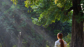 Klarheit und Kraft im beruflichen Alltag