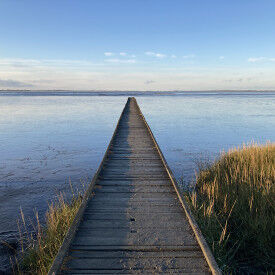 Mit dem Nervensystem auf Augenhöhe - Selbstführung und Stressregulation mit der Polyvagaltheorie